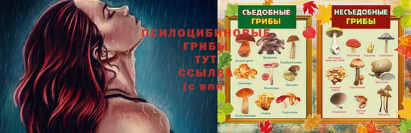 молекула духа Абаза