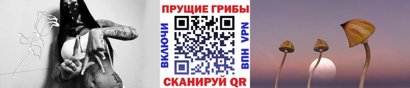 Псилоцибиновые грибы мухоморы  darknet какой сайт  Слюдянка 